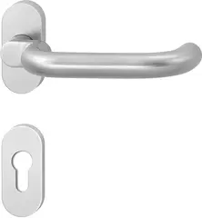 Fire protection fitting with panic handle for narrow style doors