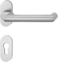 Fire protection fitting with panic handle for narrow style doors